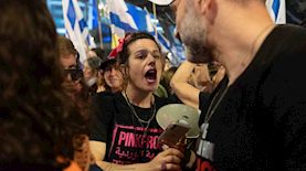 כלנית שרון, צילום: צילום ארז חרודי